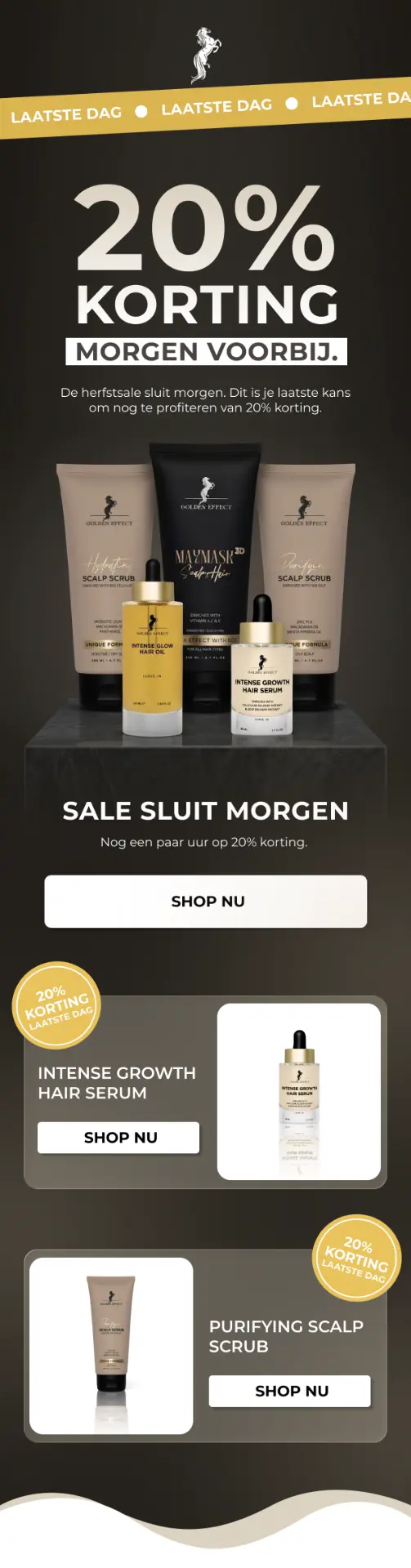 Dark grooming sale email design