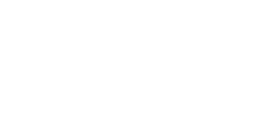 Sans Visage
