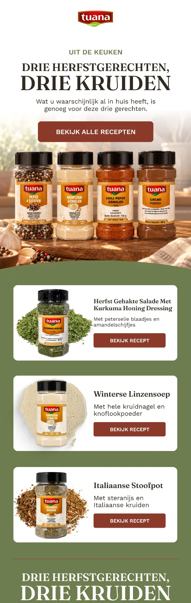 Autumn recipes email design